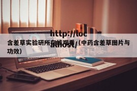 含差草实验研所在线观看（中药含差草图片与功效）
